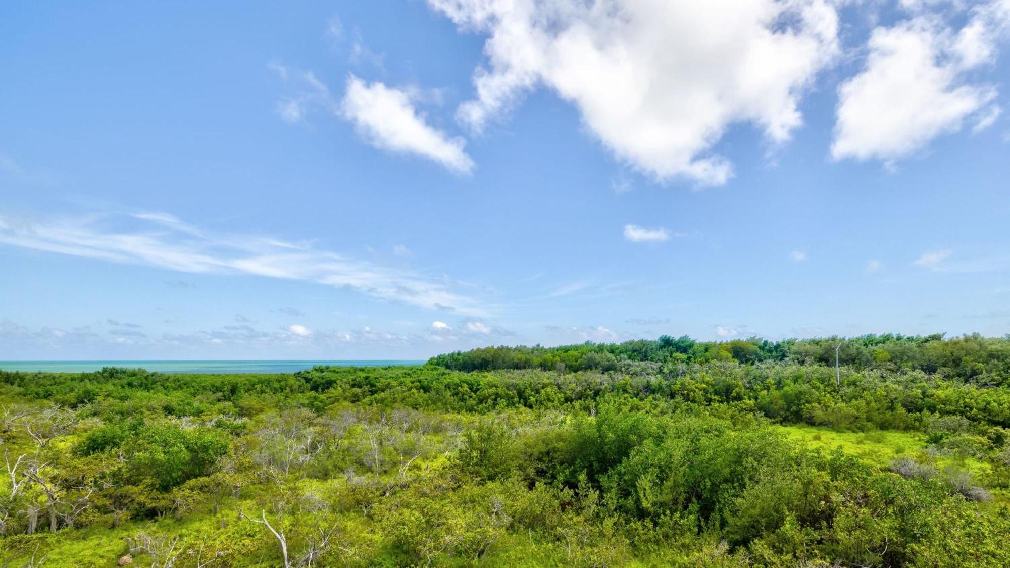 Nauti Hideaway Ocean Pointe 2314